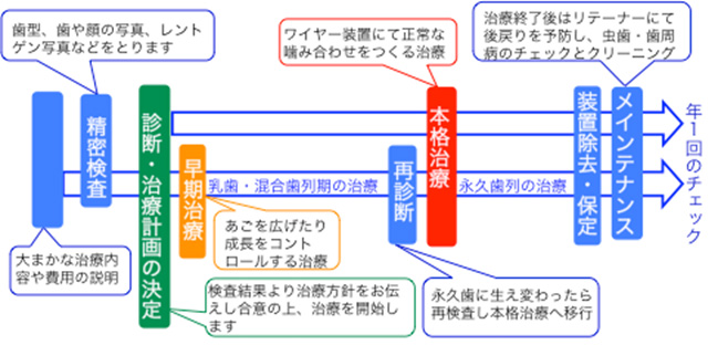 矯正治療の流れ