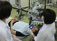 歯内療法学講座 | 東京歯科大学
