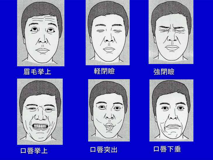 6種類の表情運動