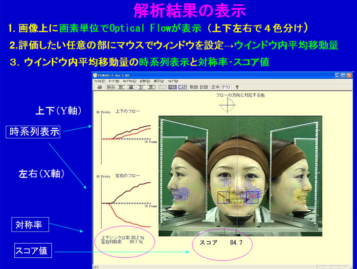 optical flow算出結果の表示画面