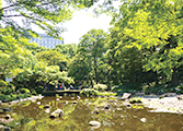 築山泉水回遊式の日本庭園