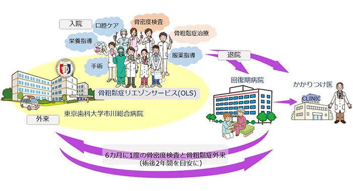 骨粗鬆症リエゾンサービス（Osteoporosis Liaison Service: OLS）について