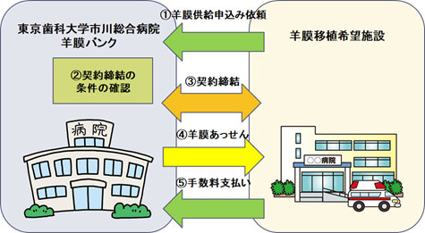 全体の流れ