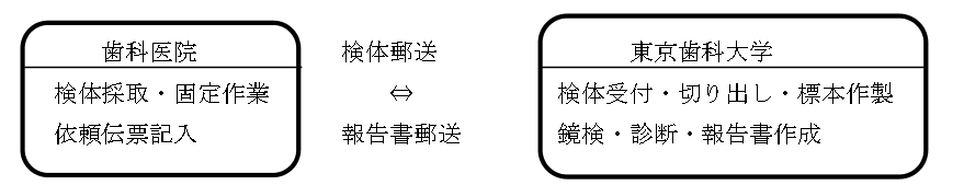 検査の流れ