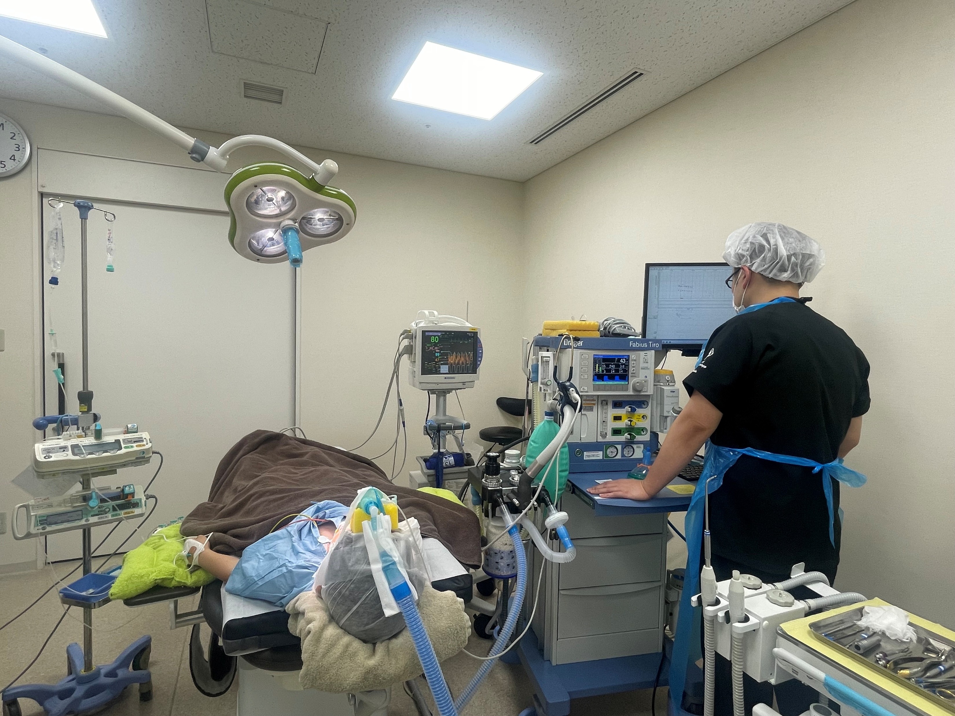 歯科麻酔学 第8版 【極美品】 歯科麻酔学 第8版／医歯薬出版株式会社