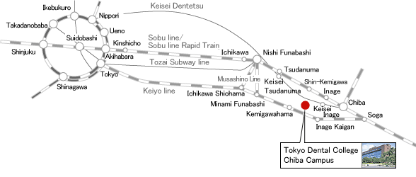 Access Using Public Transport