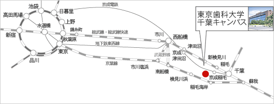 路線図