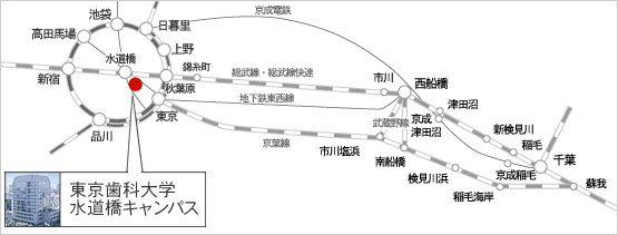 路線図