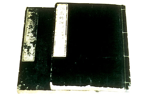 髙山紀齋「保歯新論」（上下、有新堂、1881.6.25）