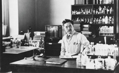 野口英世と東京歯科大学