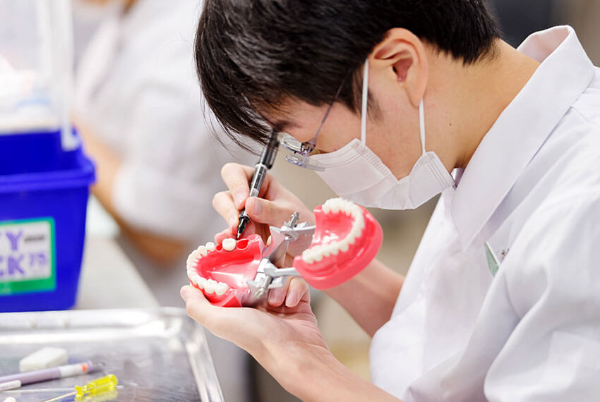 歯科医師の輩出人数