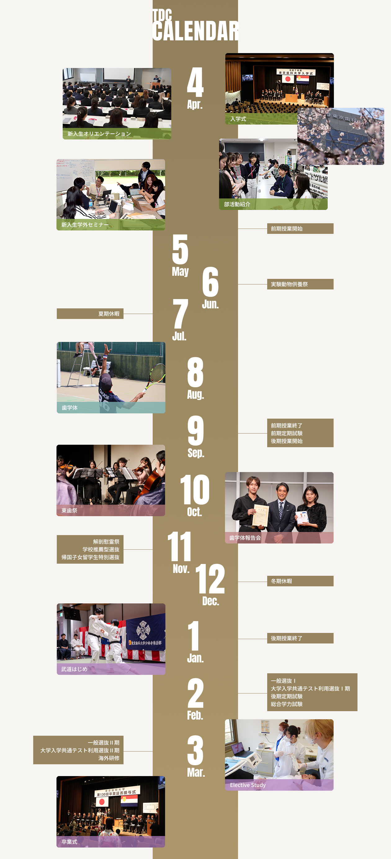 東京歯科大学のキャンパスカレンダー