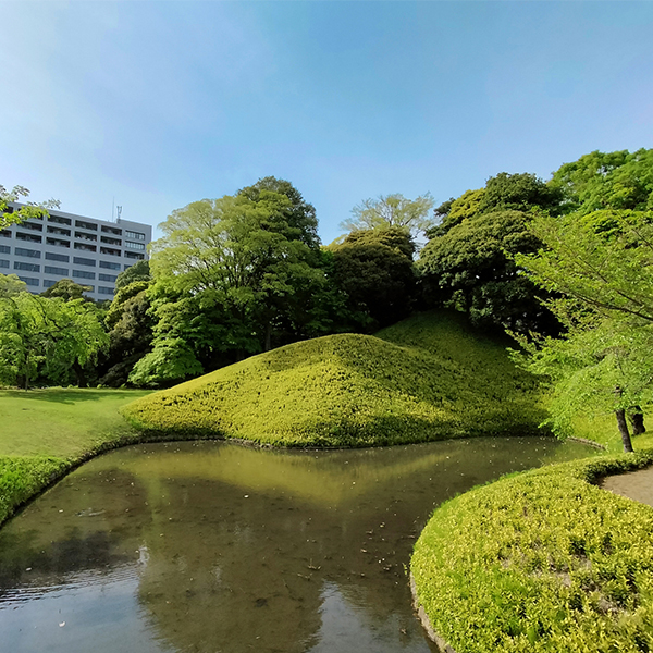 築山泉水回遊式の日本庭園