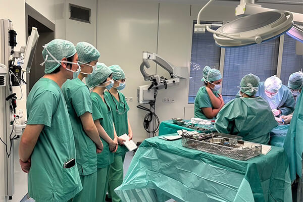 ハイデルベルク大学での研修の様子