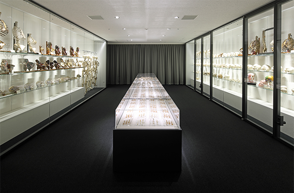 解剖学講座の特徴