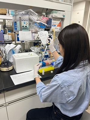 歯科麻酔学講座の研究