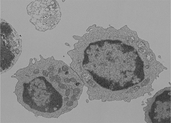 生化学講座の研究