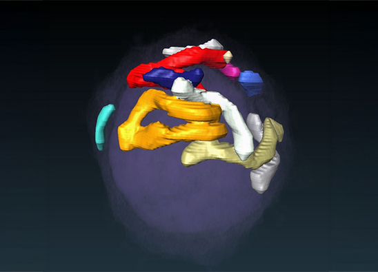 生化学講座の研究