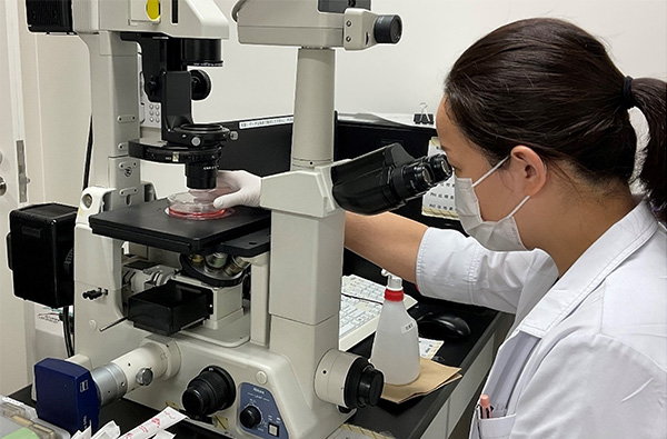 歯内療法学講座の研究