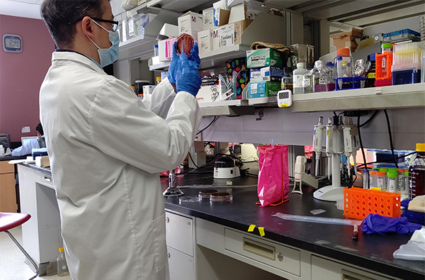 微生物学講座の研究