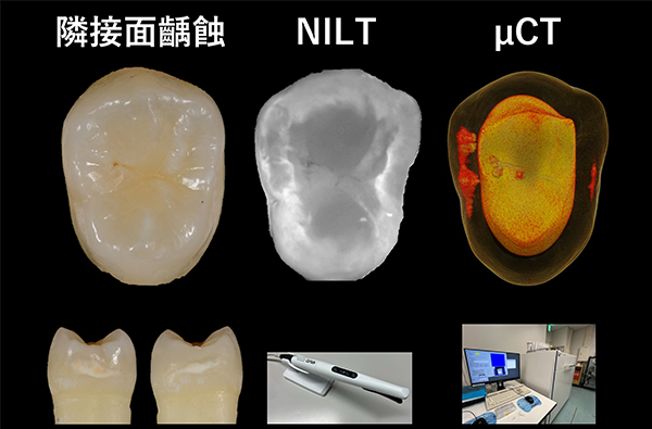 保存修復学講座の研究