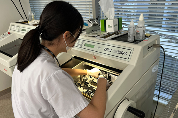 保存修復学講座の研究