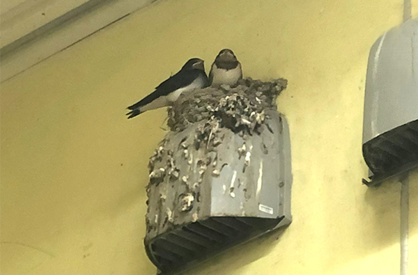 口腔健康科学講座 摂食嚥下リハビリテーション研究室の特徴