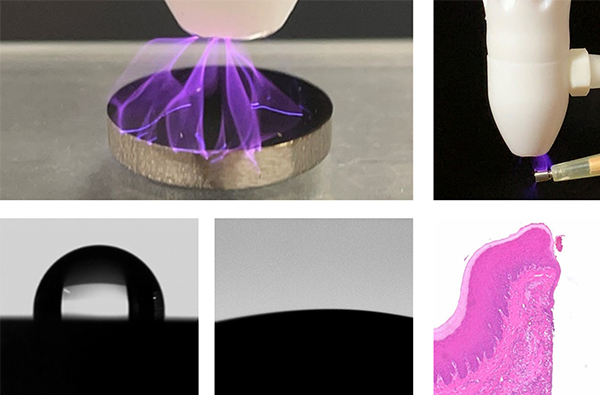 口腔インプラント学講座の研究