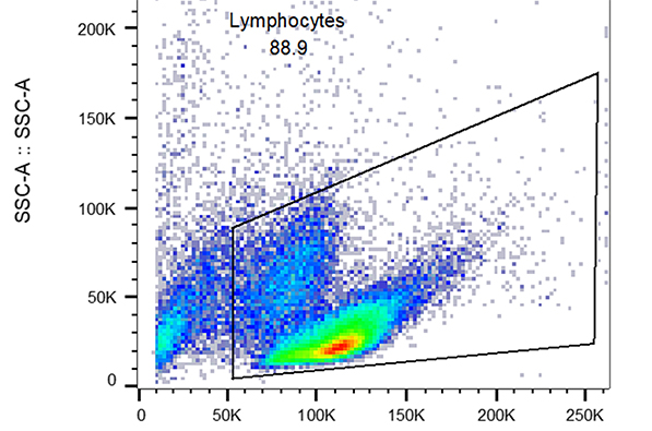 病理学講座の研究
