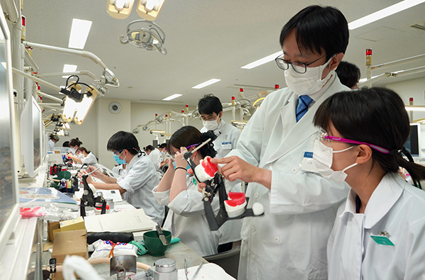 老年歯科補綴学講座の教育