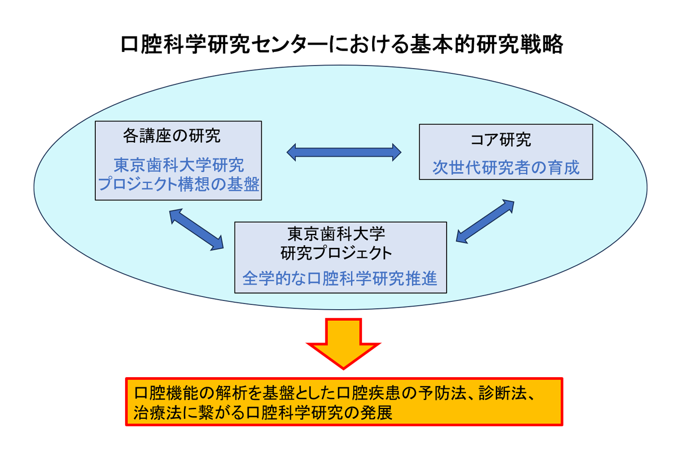 口腔科学研究センターにおける基本的研究戦略