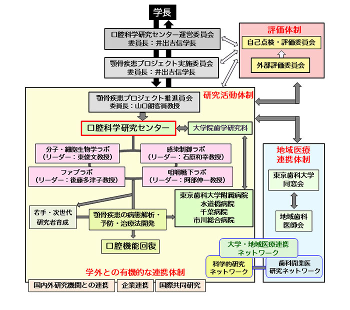 東京歯科大学のブランディングの取組