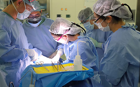 がんプロフェッショナル養成プラン（口腔がん専門医養成コース）