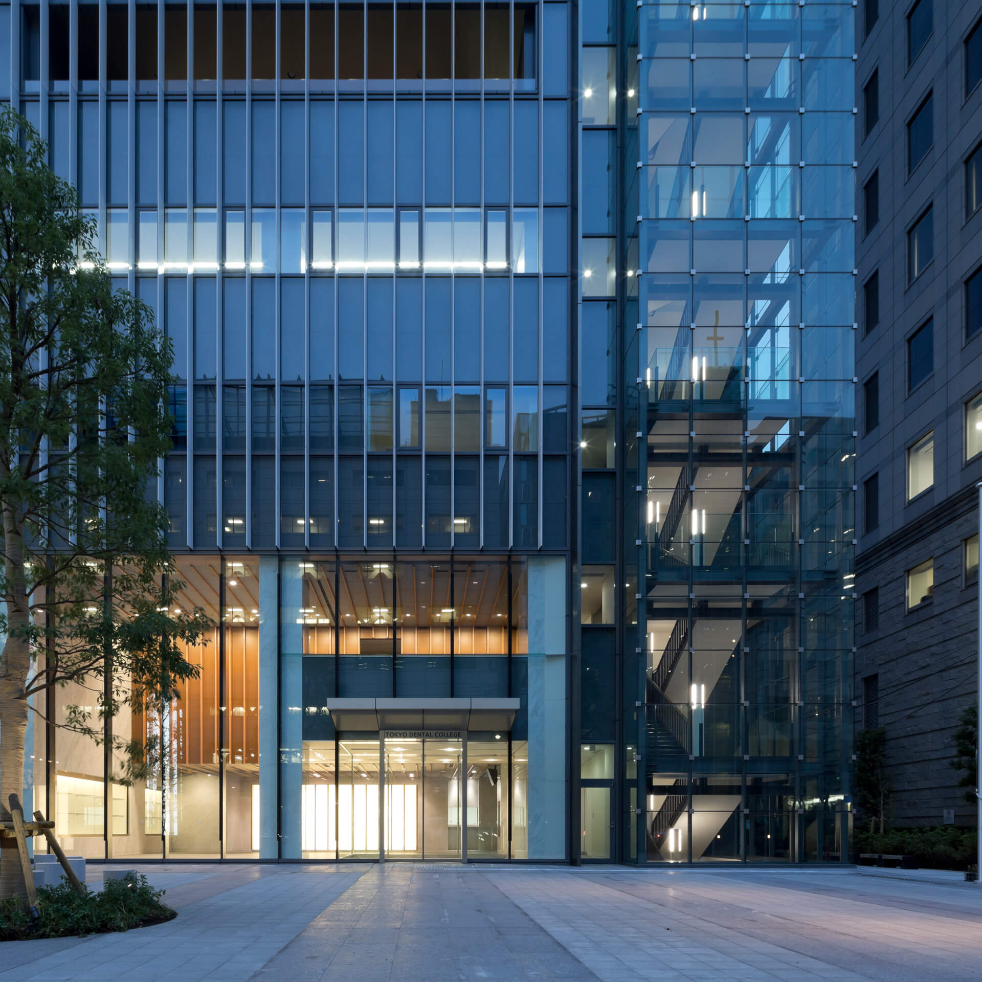 東京歯科大学 新館外観(夜景)