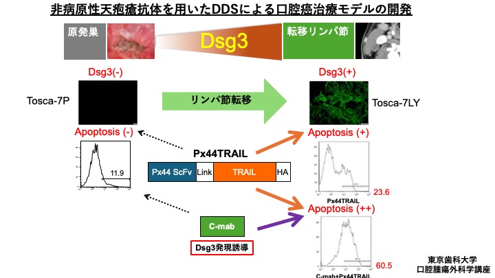 三邉正樹講師　2026年度日本私立学校振興・共済事業団「若手研究者奨励金」に採択