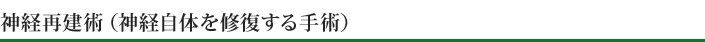 神経再建術（神経自体を修復する手術）