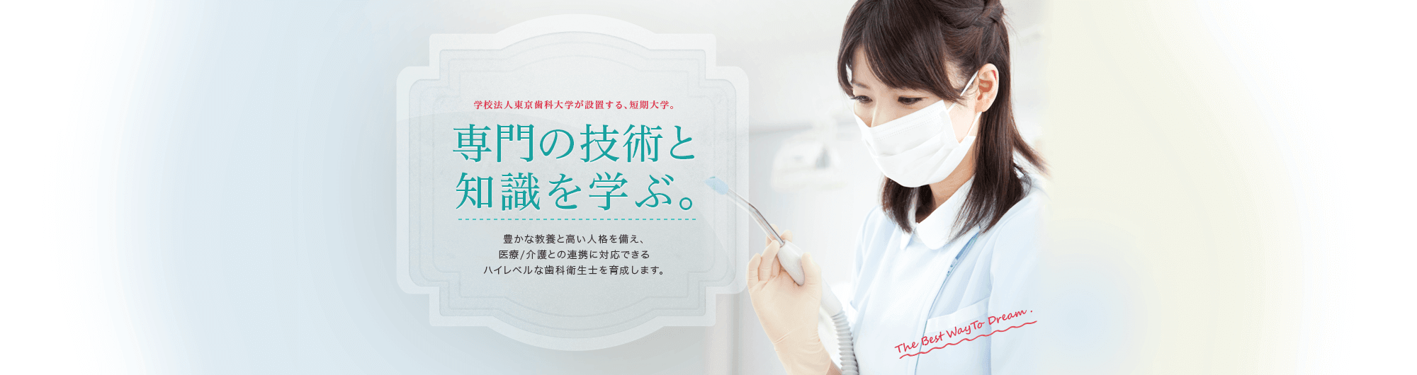 専門の技術と知識を学ぶ。